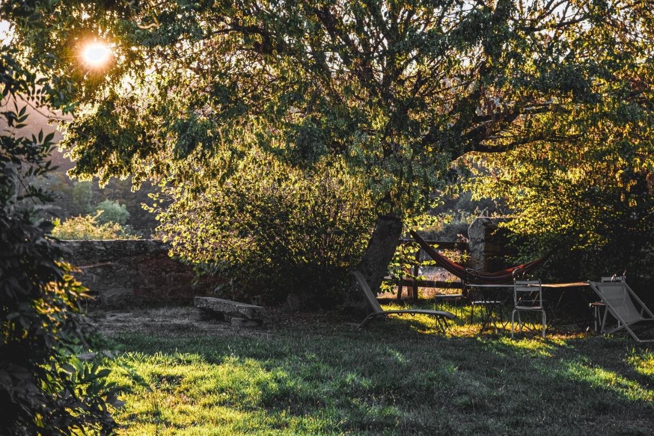 Tiny House Morvan Bourgogne Nature - 2H De Paris Bussieres  Bagian luar foto